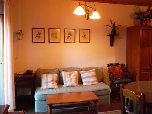 Dina's Studio