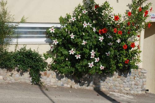 Apartamento En Plo