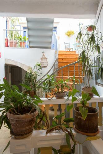 Aparthotel Nostos Hotel