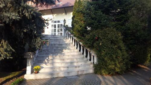 Hostal Okszi Vend�gh�z