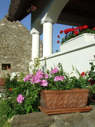 Hostal Cs�t� Vend�gh�z