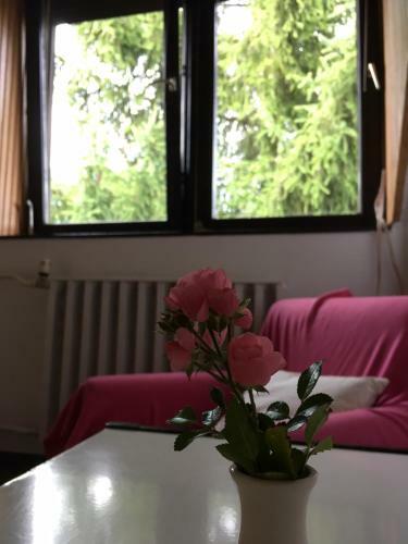 Hostal V�r-lak Vend�gh�z