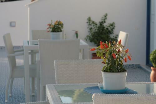 Apartamento Bouganville Studios Stegna