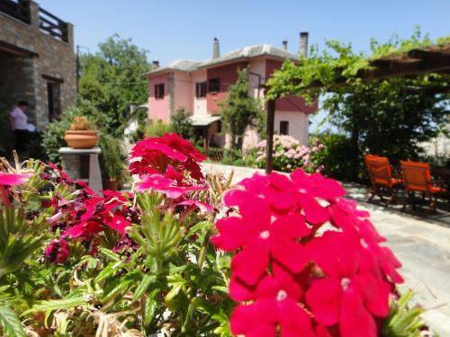 Hostal Guesthouse Iris