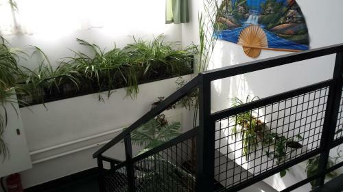 Bed & Breakfast B�lk? Panzi�