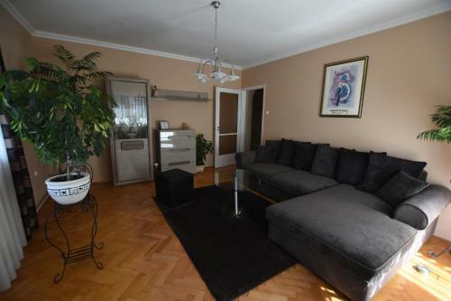Sz�cs�nyi Apartman