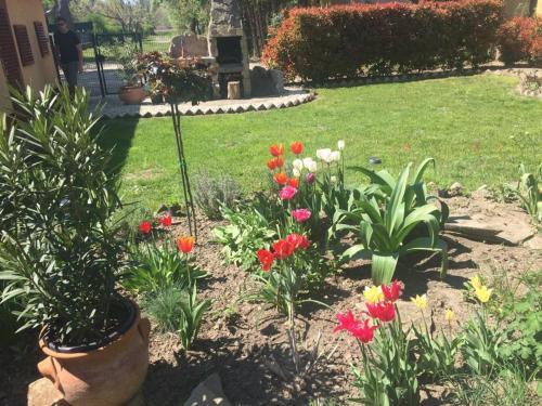 Mg Apartmanh�z