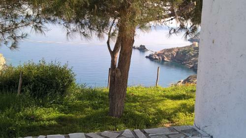Apartamento Bellevue Village