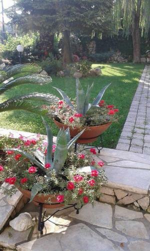 Apartamento Christianna Studios