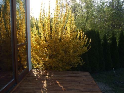 Feng Shui Wellness Apartmanh�z H�v�z