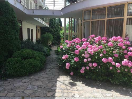 Feng Shui Wellness Apartmanh�z H�v�z