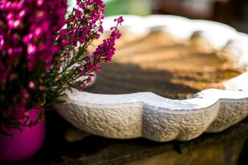 Feng Shui Wellness Apartmanh�z H�v�z