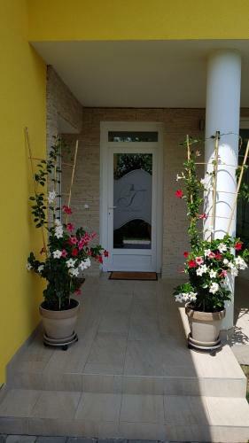 Apartamento T�nd�rlak Vend�gh�z