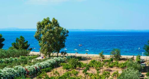 Coral Blue Beach Hotel