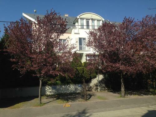 Bed & Breakfast Belle Fleur Panzio