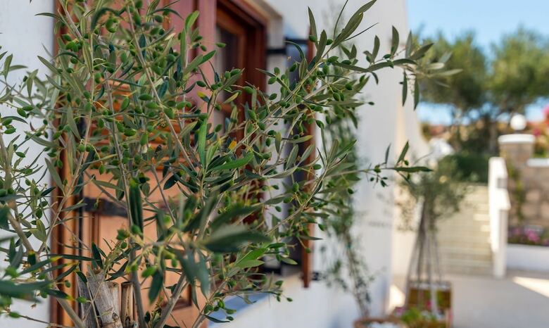 Bed & Breakfast Konstantinos