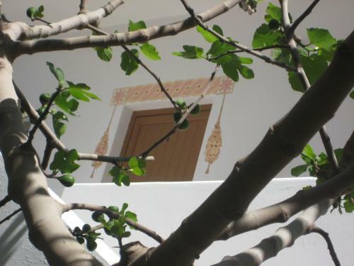 Apartamento Rozmari And Spa