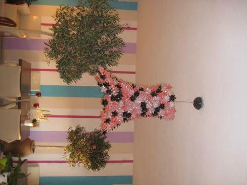 Apartamento Rozmari And Spa
