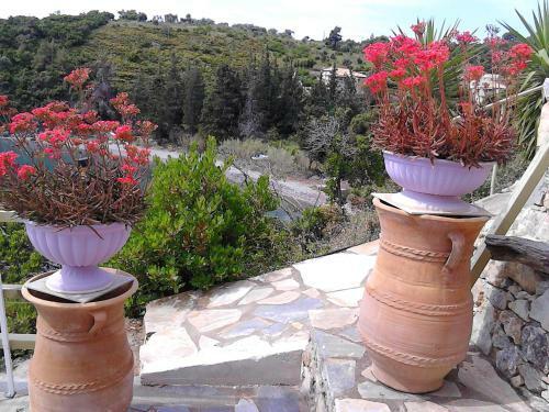 Apartamento Odyssia Near The Seaside