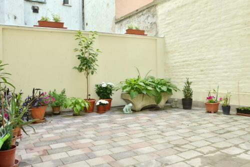 Margit Apartment