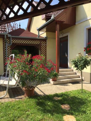 Apartman D�ra