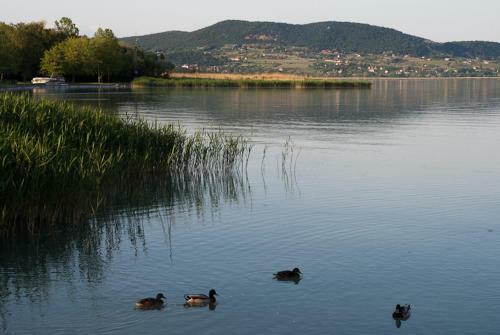 Kincsem Apartman