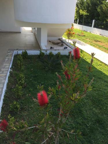 Apartamento Iris Accommodation