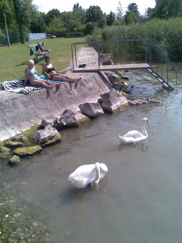 Apartamento Holiday Home In Szantod/balaton 20221