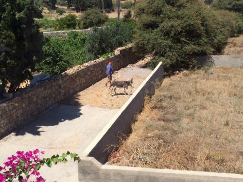 Apartamento Patmos Villas