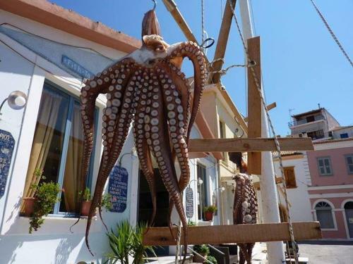 Alex - Nancy Apartments - Zaga Beach