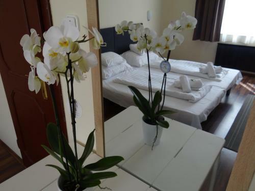 Hostal Fortuna Hotel And Restaurant