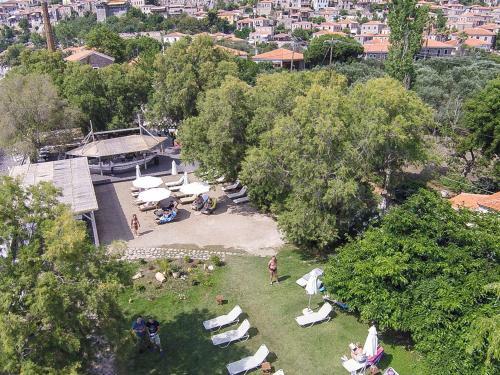 Olive Press Hotel & Apartments