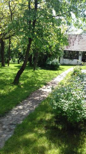 Hostal Szederfa Vend�gh�z