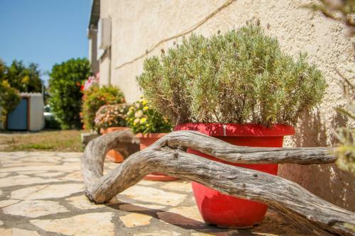 Lefkes Apartments