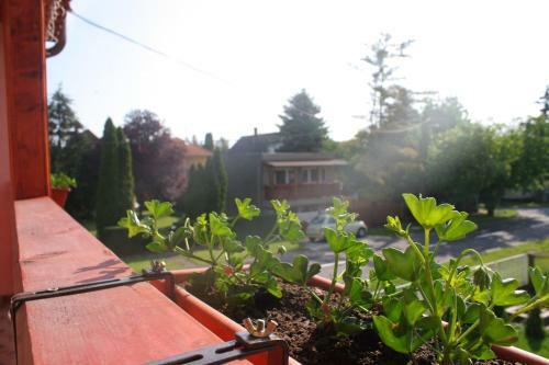 Hostal Magdal�na Vend�gh�z