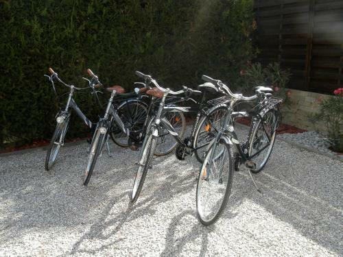 Apartman Vir�g
