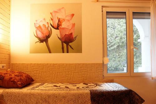 Hostal White Quiet Apartment