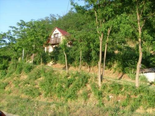 Apartamento Sas-f�szek Vend�gh�z