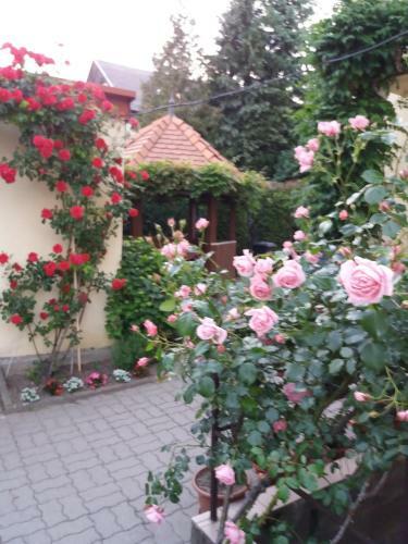 Hostal Judit Vend�gh�z