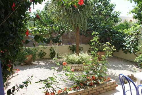 Angelina Apartments