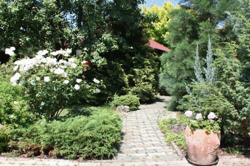 Hostal Aranykert Vend�gh�z