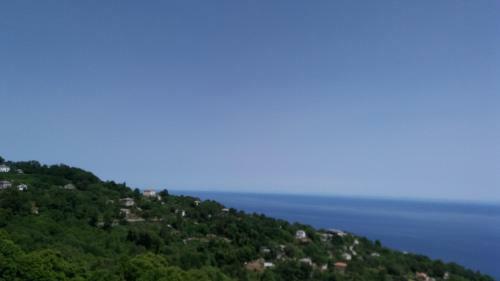 Diogenis Hotel