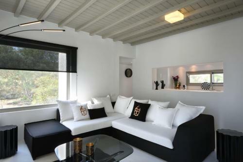 Villa Amalgam Homes Mykonos
