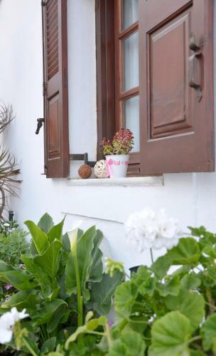Apartamento Zorbas Rooms