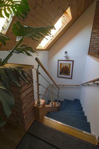 Apartamento Fenyves Vend�gh�z