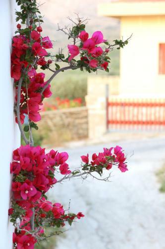 Apartamentos Kini Bay
