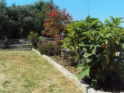Apartamento Stamatia Rooms