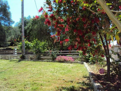 Apartamento Stamatia Rooms