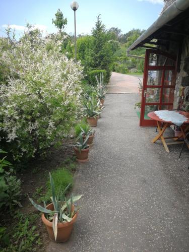 Apartmanh�z Kl�ra