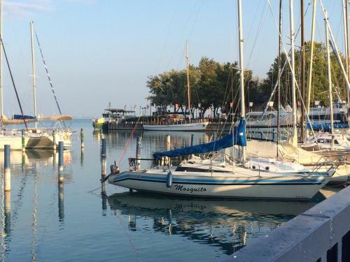 Villa Park Executive Apartment Balatonf�red